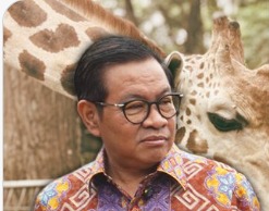 Disabilitas, Lansia, Hingga Pemegang KJP Kini Bisa Wisata Gratis di Jakarta